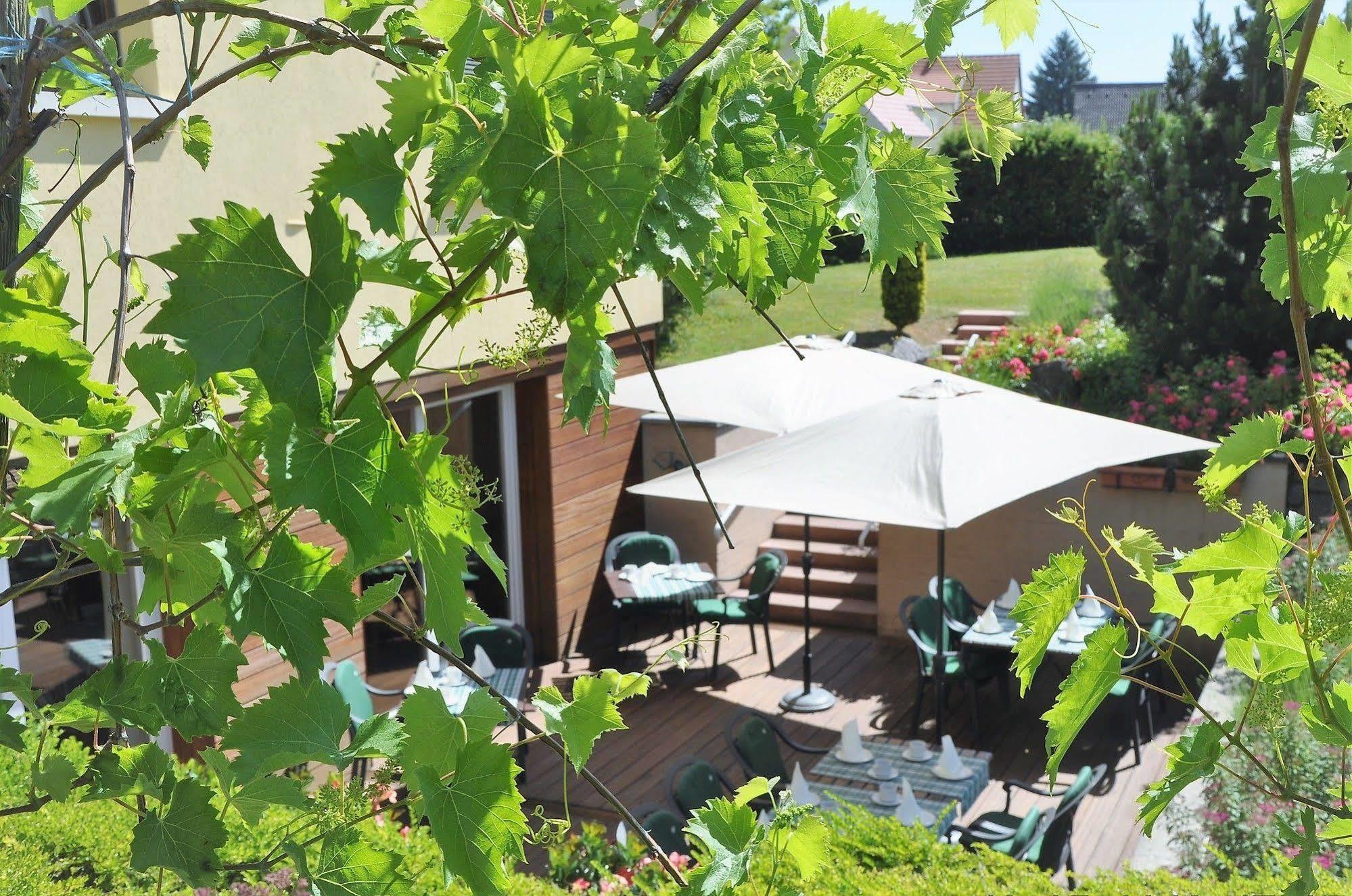 Hotel Aux Chants Des Oiseaux Ottrott Exterior foto